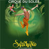 Cirque du Soleil