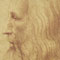 Codex Atlanticus: Botanica, intrecci e decorazioni di Leonardo da Vinci