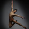 Roberto Bolle and Friends