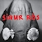 Sigur Ros