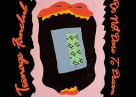 "La vita è breve, ma la musica è eterna”, firmato Teenage Fanclub