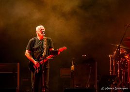 David Gilmour ha un problema con dei pipistrelli