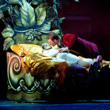 La Bella Addormentata On Ice