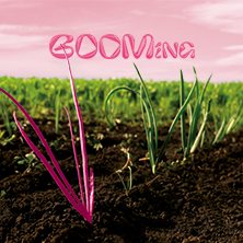 BOOMing Contemporary Art Show