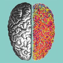 Brain - Il cervello, istruzioni per l'uso