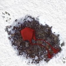 Cappuccetto Rosso - regia Luana Gramegna