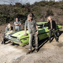 Corrosion Of Conformity