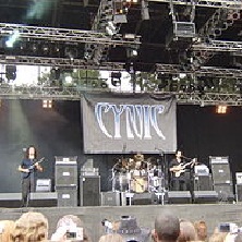 Cynic