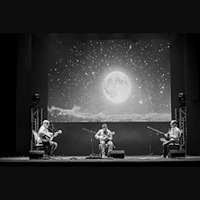 Dark Side of the Mandolin