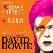 David Bowie Night