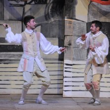 La donna del caso (C&agrave;sina)