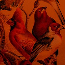 Giusto la fine del mondo