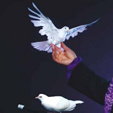 Gran Gal&agrave; della magia