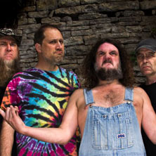 Hayseed Dixie