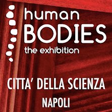 Human Bodies