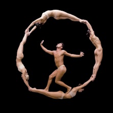 No Gravity Dance Company