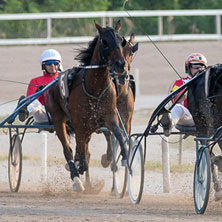 Ippodromo di Ferrara