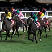 Ippodromo Le Bettole 