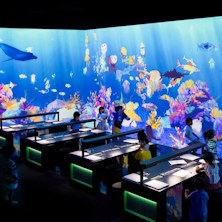 Learn e Play - teamLab Future Park