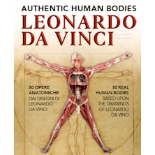 Leonardo Da Vinci - Authentic Human Bodies