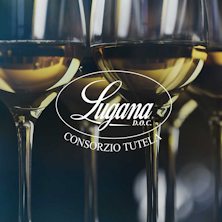 Lugana - Armonie senza tempo