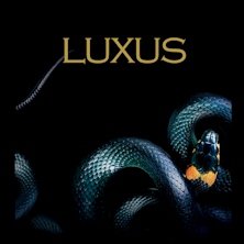 Luxus - Lo Stupore della Bellezza