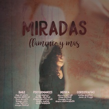 Miradas Flamenco y mas