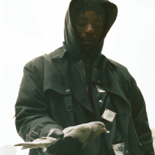 Montell Fish