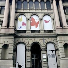 Museo di Storia Naturale G. Doria