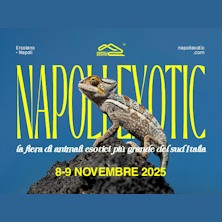 Napoli Exotic