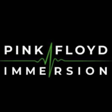 Pink Floyd Immersion