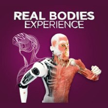 Real Bodies