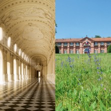 Abbonamento Open - Reggia e Castello della Mandria