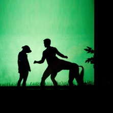 Shadowland