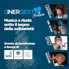 Sinergest for Christmas