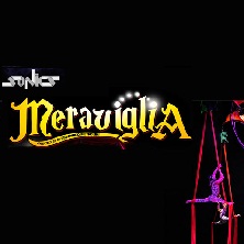 Sonics in Meraviglia