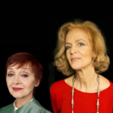 Le sorelle materassi