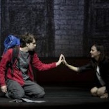 Lo Strano Caso Del Cane Ucciso A Mezzanotte