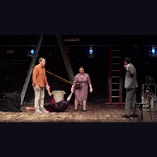 Il teorema della rana