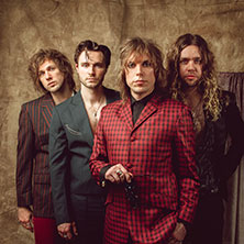 The Struts