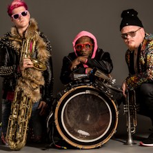 Too Many Zooz