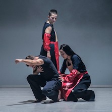 L'uomo dal cervello d'oro