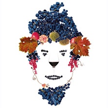 Anteprima Vini della Costa Toscana