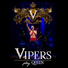 Vipers Queen Tribute Band