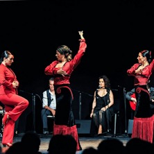 La Voz del Flamenco