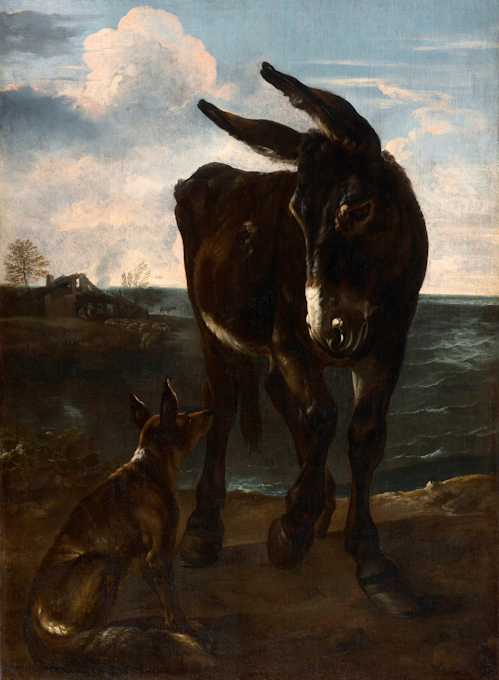 Michelangelo Cerquozzi, L'asino e la volpe