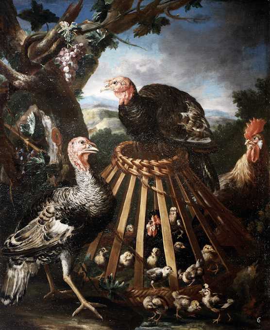 Giovanni Maria Crivelli, Tacchini, gallo e pulcini