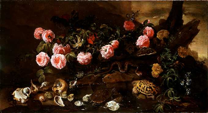 Paolo Porpora, Sottobosco con rose, tartarughe, se