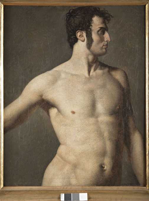 Ingres - Torso d'uomo