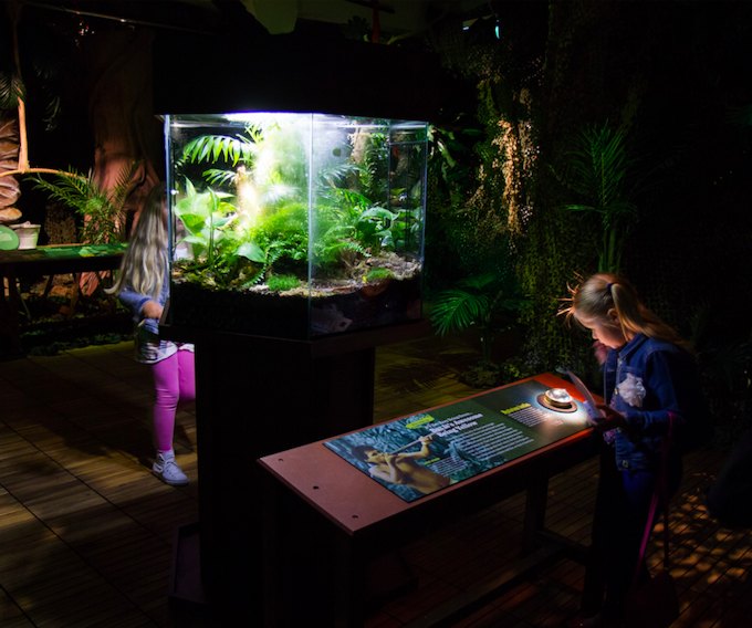 Poison - Il Potere del Veleno